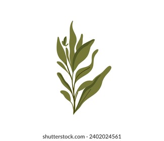 Green branch,  flat vector illustration