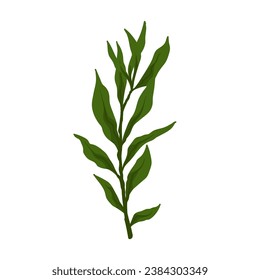 Green branch with foliage. Vector graphics.