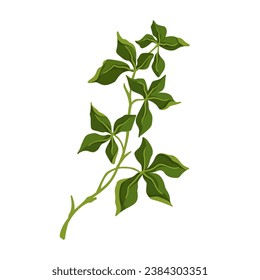 Green branch with foliage. Vector graphics.