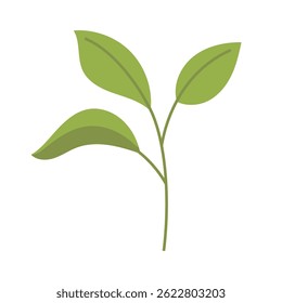 Green branch isolated on a white background. Vector illustration