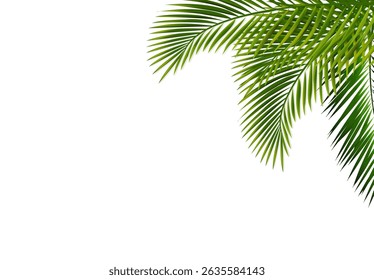Green Branch Isolated And White Background 
With Gradient Mesh, Vector Illustration