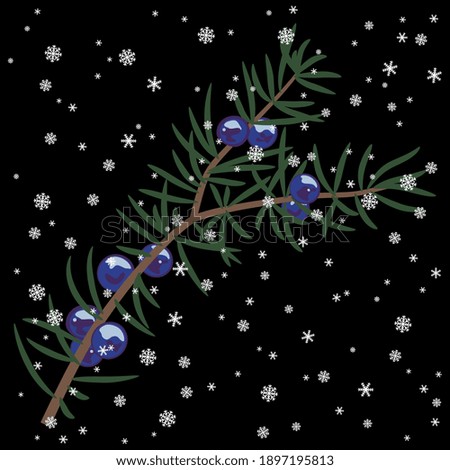 Image, Stock Photo snowflake (VI)