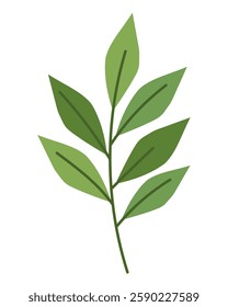 Green Branch Leaf Element Decorative