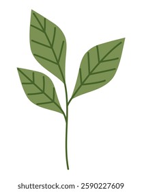 Green Branch Leaf Element Decorative