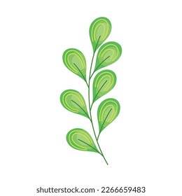 green branch with leafs foliage