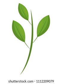 green branch leaves natural foliage