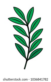 green branch leaves nature foliage