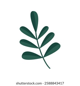 A green branch with leaves on a white background. Vector image.