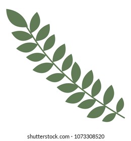 green branch leaves plant decoration