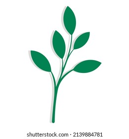 Green branch with leaves simple botanical vector illustration isolated on white. Floral design element for print, background, banner or card. Ecology symbol and environment concept.