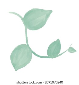 green branch with leaves. Watercolor Leaves Green