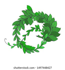 Green branch with leaves.Vector branch. Vector decorative branch, green liana with foliage. Floral ornament.