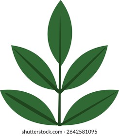 Green branch with multiple leaves vector illustration, ideal for botanical designs, nature-themed projects, greeting cards, posters, crafts, scrapbooking, and organic decorations.