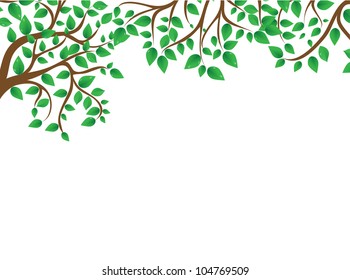 Green branch on the white background, vector illustrashion