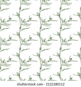 Green branch pattern on white background. Elegant, modern style. White background. Spring season. Seamless texture.  Design template. Vector drawing. Flower pattern.