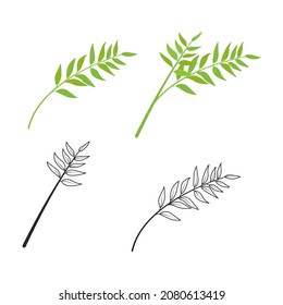 Green branch of a plant with leaves. Contour sketch. Vector illustration, flat minimal color design, isolated on white background, eps 10.