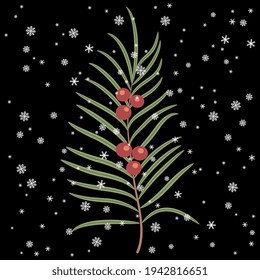 Green branch with red berries on black background under snowflakes. Cute Christmas motif.