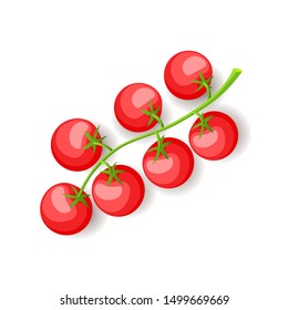 Green branch with red cherry tomatoes icon isolated, fresh vegetables, organic healthy food, vector illustration
