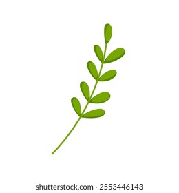 Green branch with rounded leaves in cartoon style. Simple botanical design perfect for nature themed project, eco friendly design and decorative elements. Isolated on white background.