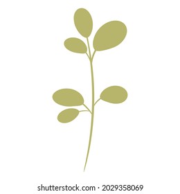Green branch with small leaves