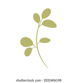 Green branch with small leaves