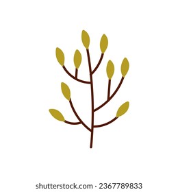 Green branch of tree, shrub. Wild plant with leaf, foliage. Young twig, spring greenery. Floral, botanical decoration. Nature flat isolated vector illustration on white background