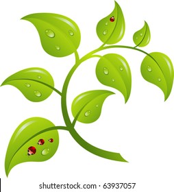 Green branch tree, vector illustration