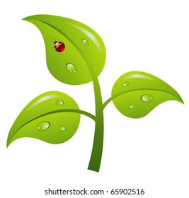 Árvore de ramificação verde, ilustração de vetor