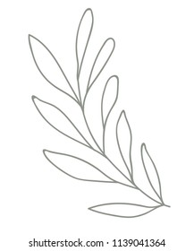 Green branch vector illustration. Flora.