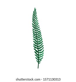 Green Branch of Wild Fern Vector Illustration For Graphic Decoration of Cards