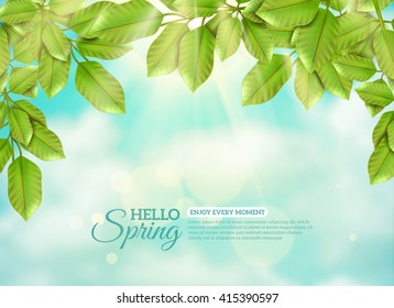 Green branches of deciduous tree in rays of spring sun at blue sky and white clouds background flat vector illustration 