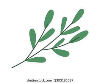 Green branches for decor bouquets. Vector illustration