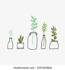 Green branches in different glass bottles