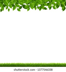 Green Branches And Grass  With Gradient Mesh, Vector Illustration