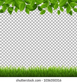 Green Branches And Grass Transparent background With Gradient Mesh, Vector Illustration
