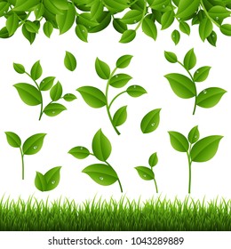 Green Branches And Grass White Background, Vector Illustration