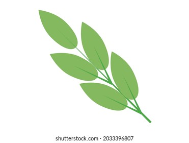 Green branches icon on white background.