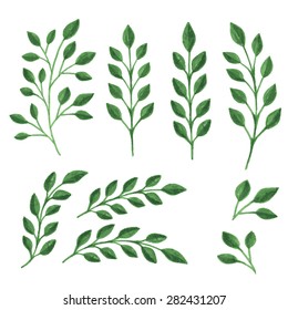 Green branches isolated on white background. Vector illustration.