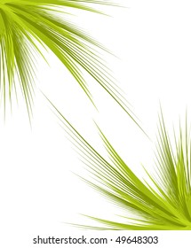 Green branches isolated on white background with space of your text, vector illustration