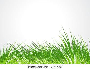 green branches isolated on white background with space of your text, vector illustration