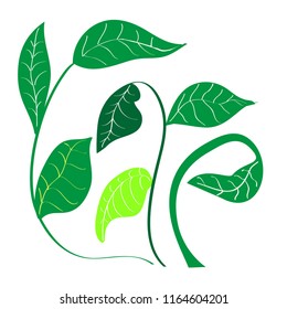 Green branches with leaves of different colors