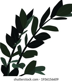 Green branches with leaves on a white background. Colored flat illustration of a plant. Modern pattern for posters, templates, textiles, backgrounds, postcards.