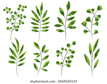 Ramas verdes con hojas conjunto de Ilustración vectorial. Abstractas plantas decorativas lindas para eco collage. Elemento de diseño plano de hojas de vegetación