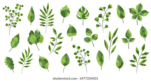 Green branches, leaves vector illustration big set. Abstract cute decorative plants for eco collage. Vegetation leaves foliage flat design element