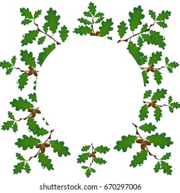 Green branches of an oak with acorns on a circle. Volumetric drawing without a grid and a gradient. Isolated on white background. Vector illustration