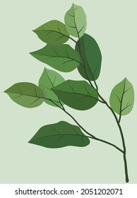 Green branches on a light background. Vector flat illustration. Flora in light green tones. Design for posters, backgrounds, templates, postcards, textiles, menus, banners.