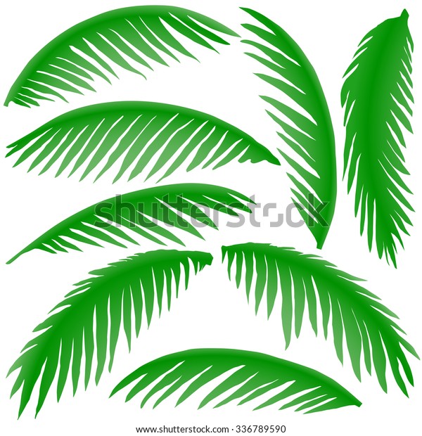 Green Branches Palm Trees Stock Vector (Royalty Free) 336789590