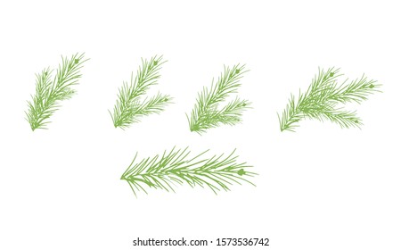Green branches of the tree. Vector illustration for Christmas, New Year.