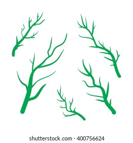 Green Branches vector hand drawn illustration. Icons on transparent background.
