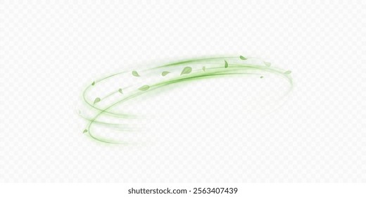 Green bright flow with flying tea and mint leaves. Green swirl on white background. Design for cooling drinks, organic substances, medicine, cosmetics, pharmaceuticals. Vector